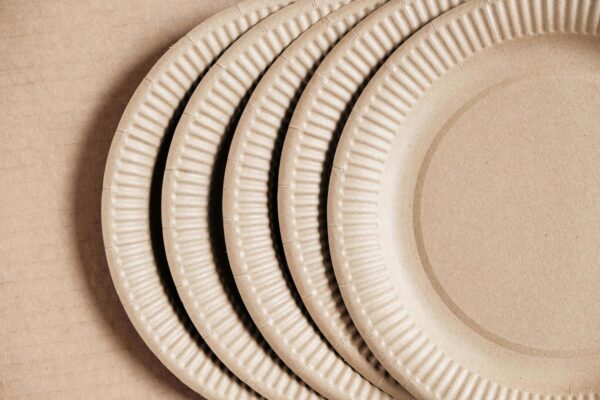 Custom Paper Plates